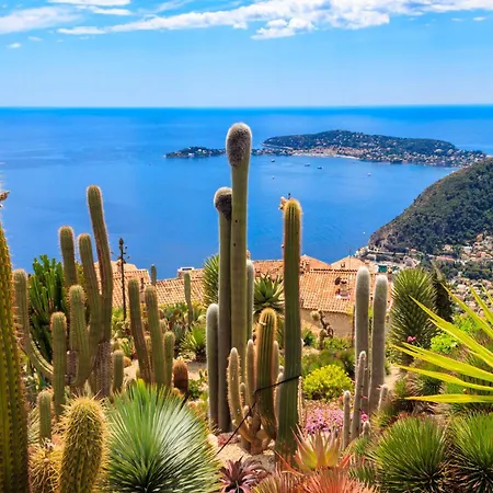 아파트 Coeur De La Libe - Ideal Couple & Friends - & Cosy - Tram & Supermarkets -ac -bed Xxl *